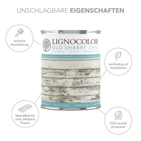 Lignocolor Kreidefarbe Weiss 100 ml