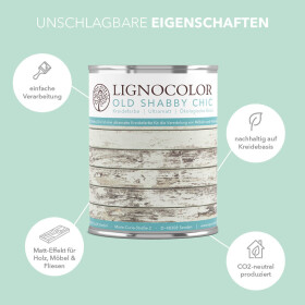 Lignocolor Kreidefarbe Mint 100 ml