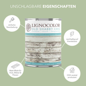 Lignocolor Kreidefarbe Aloe 100 ml