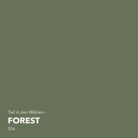 Lignocolor Wandfarbe Forest 2,5 L