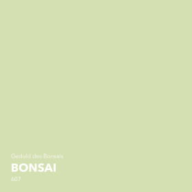 Lignocolor Wandfarbe Bonsai