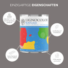Lignocolor Buntlack Charcoal