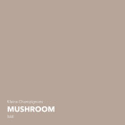Lignocolor Buntlack Mushroom